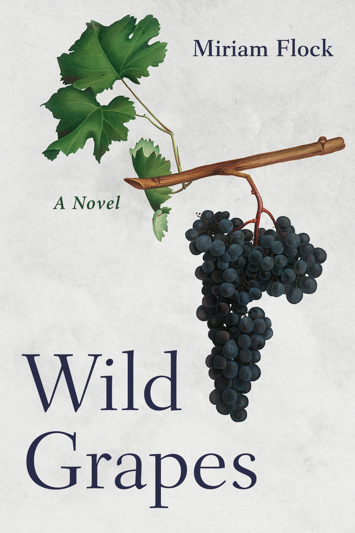 Grapes: The Beyond 洋書 Napa in Wine Quality of Evolution The Vines: Jefferson's Beyond Valley 洋書