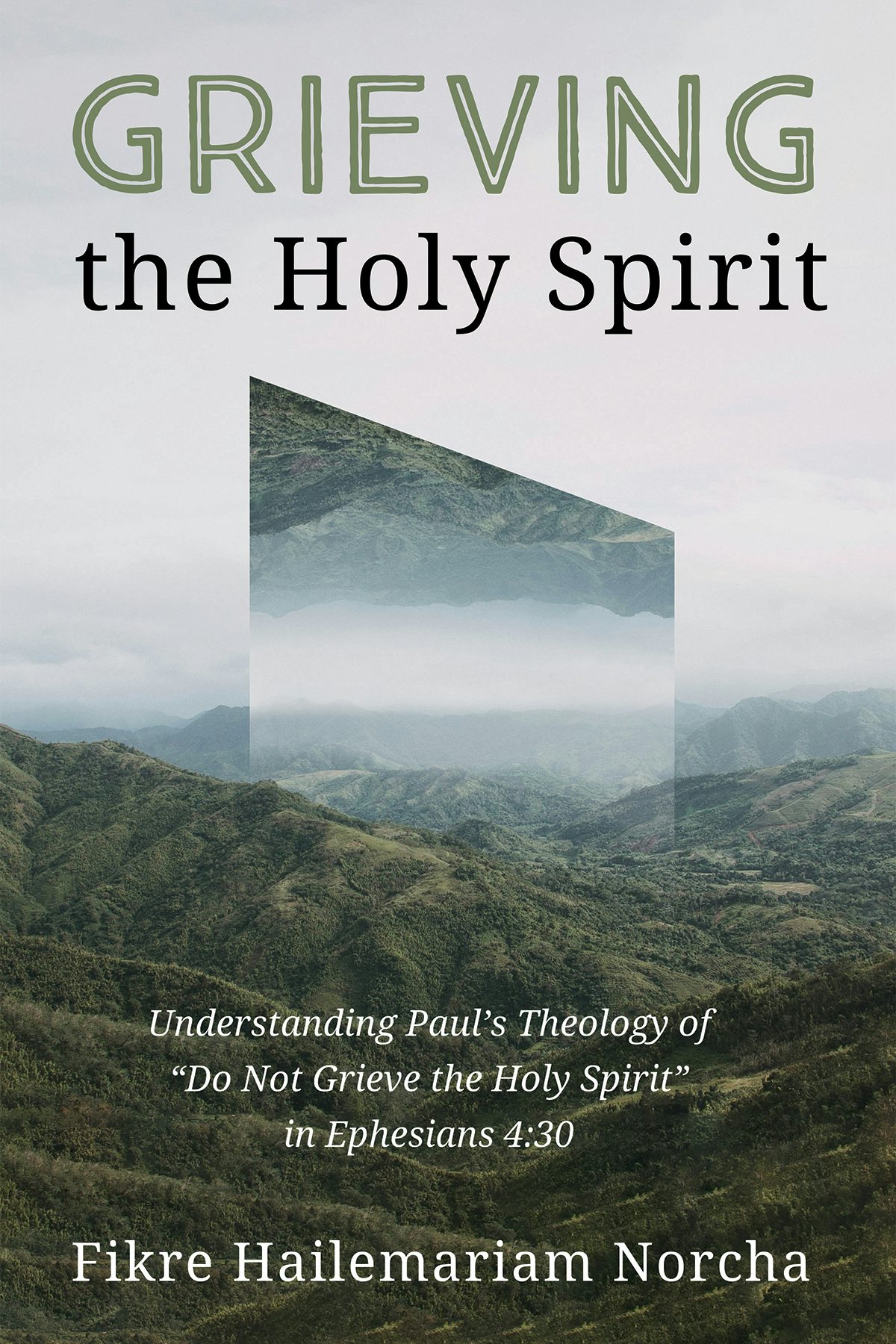 Grieving the Holy Spirit- Wipf and Stock Publishers